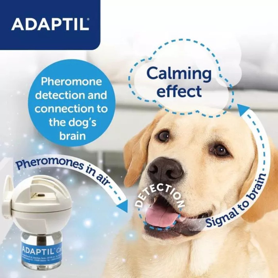 Adaptil Calm Diffuser