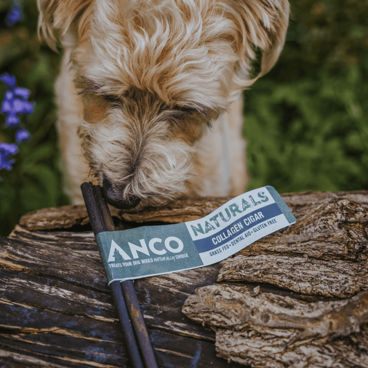 Anco Collagen Cigars