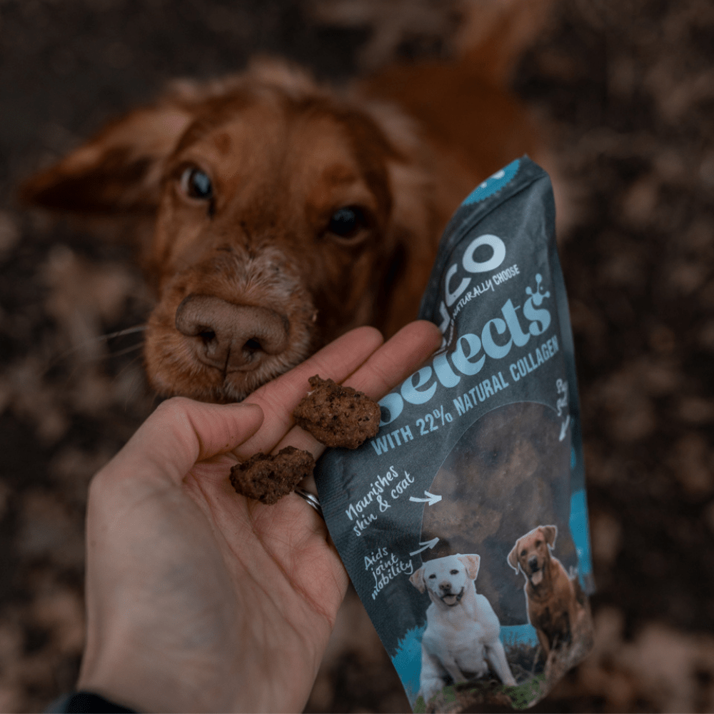 Anco Selects Duck Bites with Collagen 85g