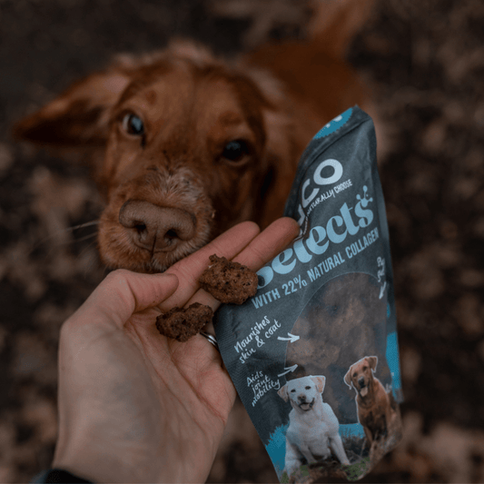 Anco Selects Duck Bites with Collagen 85g